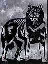 A Lonely Wolf